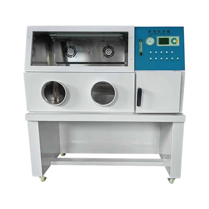 YF-YQ  厌氧培养箱